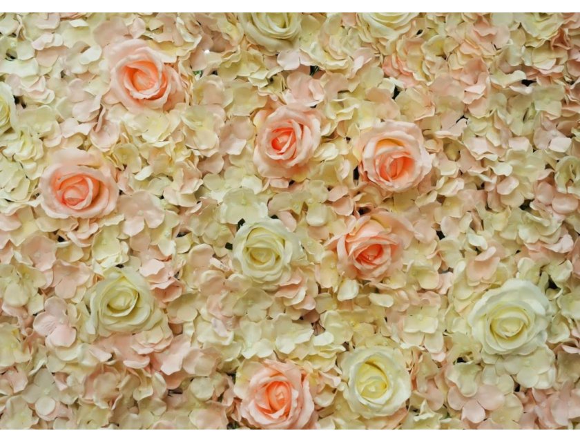 French Rose Flower Wall