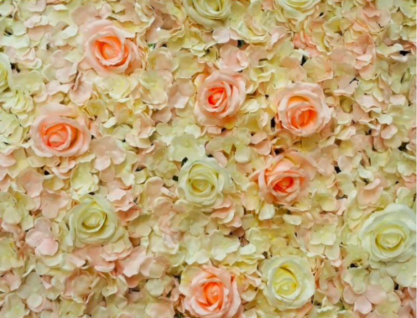 French Rose Flower Wall -