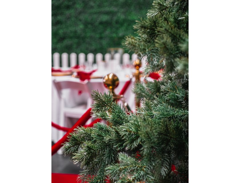 Forest Green Christmas Tree