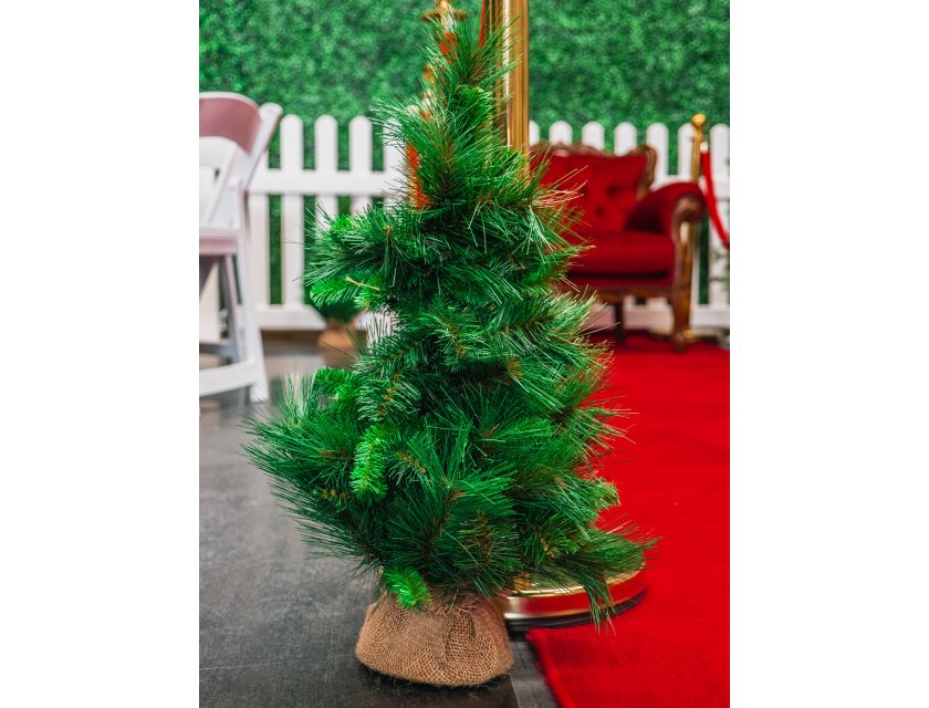 Small Pine Christmas Tree