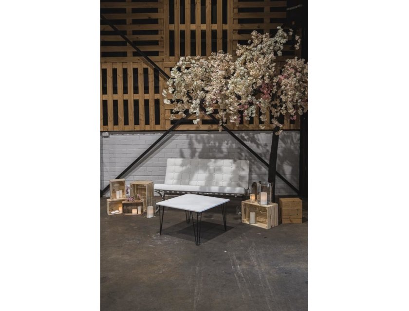 Large Cherry Blossom Tree