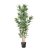 Bamboo Tree - Large