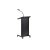 Lectern with Goose Neck Stand + Mic