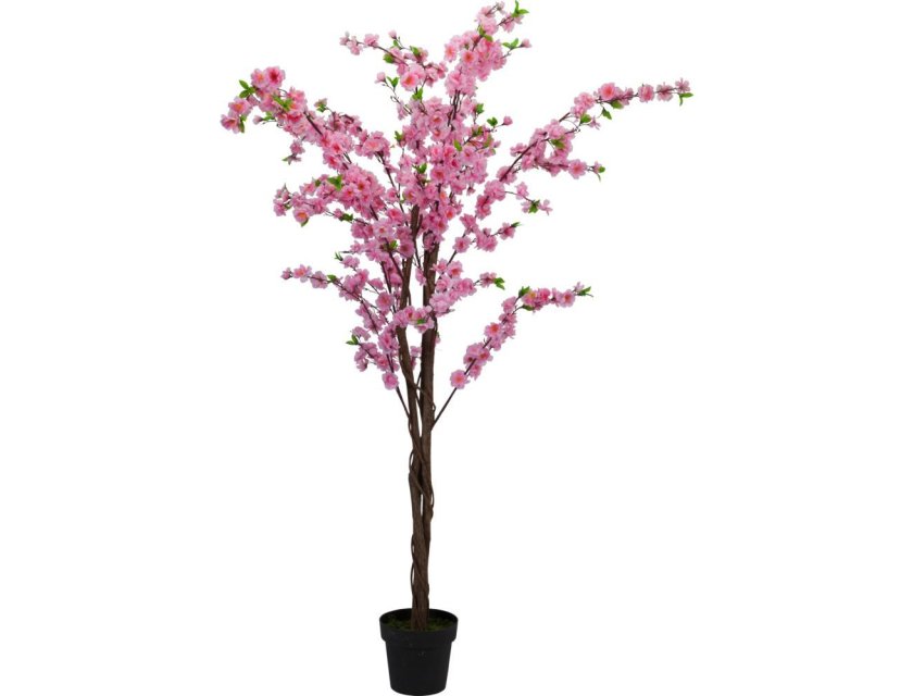 Pink Blossom Tree